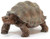 Schleich - Giant tortoise SC14824 c