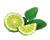 Bergamot Essential Oil 12 ml - Aromae 1