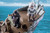 Playmobil - Drago's Ship - How to Train Your Dragon PMB9244 Drago and crewmember