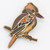 Coloured Kookaburra Brooch - Buttonworks 