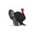  Schleich - Turkey SC13900 (4055744040689) 