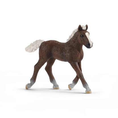 Schleich - Black Forest Foal SC13899 (4059433039589) 