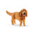 English Cocker Spaniel SC13896 (4059433013909)