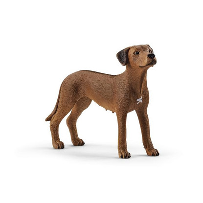 Schelich - Rhodesian Ridgeback SC13895 (4059433007229)