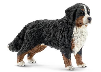 Schleich - Bernese Mountain Dog Female SC16397 (4005086163973)