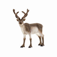 Schleich - Reindeer SC14837