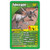 Top Trumps - Dinosaurs Top - Velociraptor