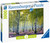 Ravensburger - Birch Forest Puzzle 1000 piece RB16753-1 - Box