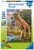 Ravensburger - Giraffes in Africa Puzzle 150 piece RB12943-0