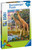 Ravensburger - Giraffes in Africa Puzzle 150 piece RB12943-0 Box