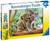 Ravensburger - Koala Love Puzzle 200 piece RB12945-4 - Box