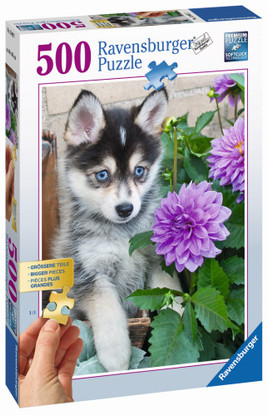 Ravensburger - Cute Husky Puzzle 500 piece Large Format Gold RB13682-7