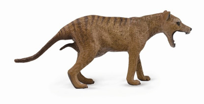 Collecta - Thylacine (Tasmanian Tiger) - Female