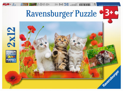 Ravensburger - Kitten Adventures Puzzle 2x12 piece RB07626-0