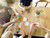 You’ve Been Framed! Board Game - Roo Games
