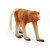 Schleich - Proboscis Monkey SC14846