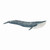 Schleich - Blue Whale SC14806