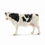 Schleich - Holstein Cow (black and white) SC13797