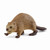 Schleich - Beaver SC14855