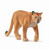 Schleich - Cougar SC14853