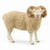 Schleich - Ram SC13937