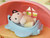 Sylvanian Families - Baby Balloon Playhouse SF5527