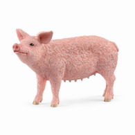 Schleich - Pig SC13933