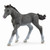 Trakehner Foal SC13944