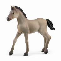 Schleich - Criollo Definitivo Foal SC1394