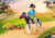 Playmobil - Pony Carriage PMB7099