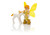 Playmobil - Special Plus Sun Fairy With Unicorn Foal PMB9438