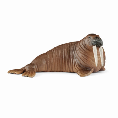 Schleich - Walrus SC14803