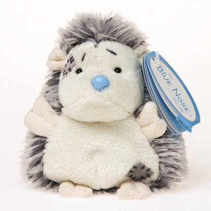 Konker the Hedgehog My Blue Nose Friend