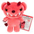 Deddy Bear Plush in Bag - BEEZLEBEAR with Autopsy report