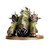 Death Guard Myphitic Blight-hauler 43-56