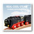 BRIO - Battery Operated Steaming Train 3 piece BRI33884