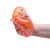  Schylling - NeeDoh® Nice Berg Swirl SWSNCBND
