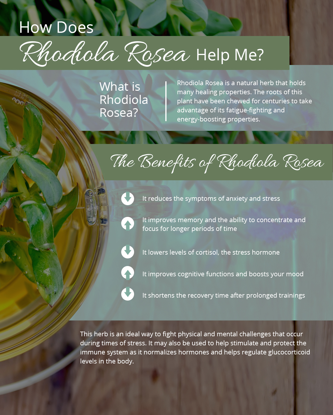 The Many Benefits of Rhodiola Rosea Ameriden International, Inc