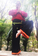 Indian Yoga Pants - Black Green Red