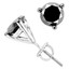 Black Diamond Round Stud Earrings | Majesty Diamonds