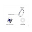 1/10 CTW Round Blue Nano Sapphire Semi-Eternity Ring in 0.925 White Sterling Silver (MDS210160)