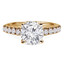 3/4 CTW Round Diamond Trellis Solitaire with Accents Engagement Ring in 14K Yellow Gold (MD200109)