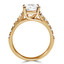 3/4 CTW Round Diamond Trellis Solitaire with Accents Engagement Ring in 14K Yellow Gold (MD200109)