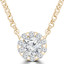 1/4 CTW Round Diamond Shared Claw Halo Necklace in 18K Yellow Gold (MDR220029)