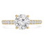 1 CTW Round Diamond Solitaire with Accents Engagement Ring in 14K Yellow Gold (MD220453)