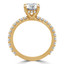 Round Diamond Solitaire with Accents Engagement Ring in Yellow Gold (MVS0179-Y)