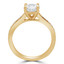 Round Diamond Solitaire with Accents Engagement Ring in Yellow Gold (MVS0202-Y)