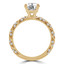 Round Diamond Solitaire with Accents Engagement Ring in Yellow Gold (MVS0206-Y)
