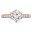 Round Diamond Solitaire with Accents Engagement Ring in Rose Gold (MVS0245-R)