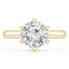 Round Diamond Hidden Halo Solitaire with Accents Engagement Ring in Yellow Gold (MVS0304-Y)